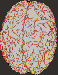 brain 2.gif